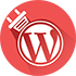 Wordpress Plugin Development Services Company